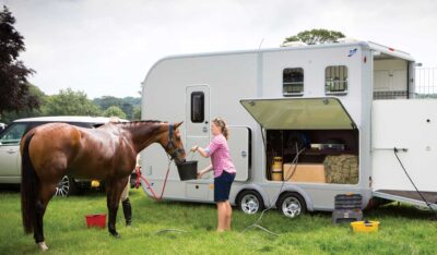 ifor-williams-hasttransporter-EVENTA-wp ifor-williams-hasttransporter-EVENTA